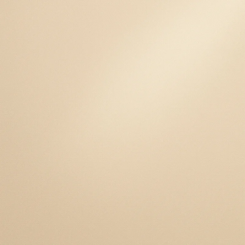 Eternal oat beige background