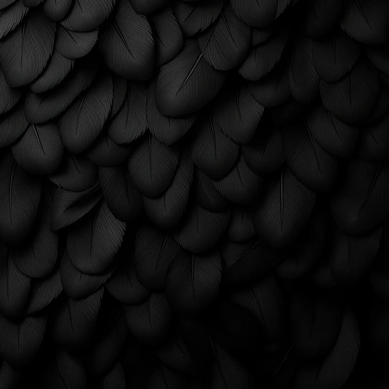 Black Feather Pattern Background