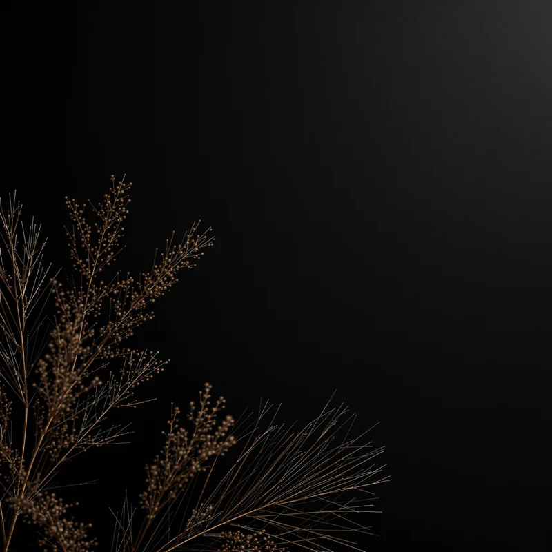 Ebony Tone Black Background