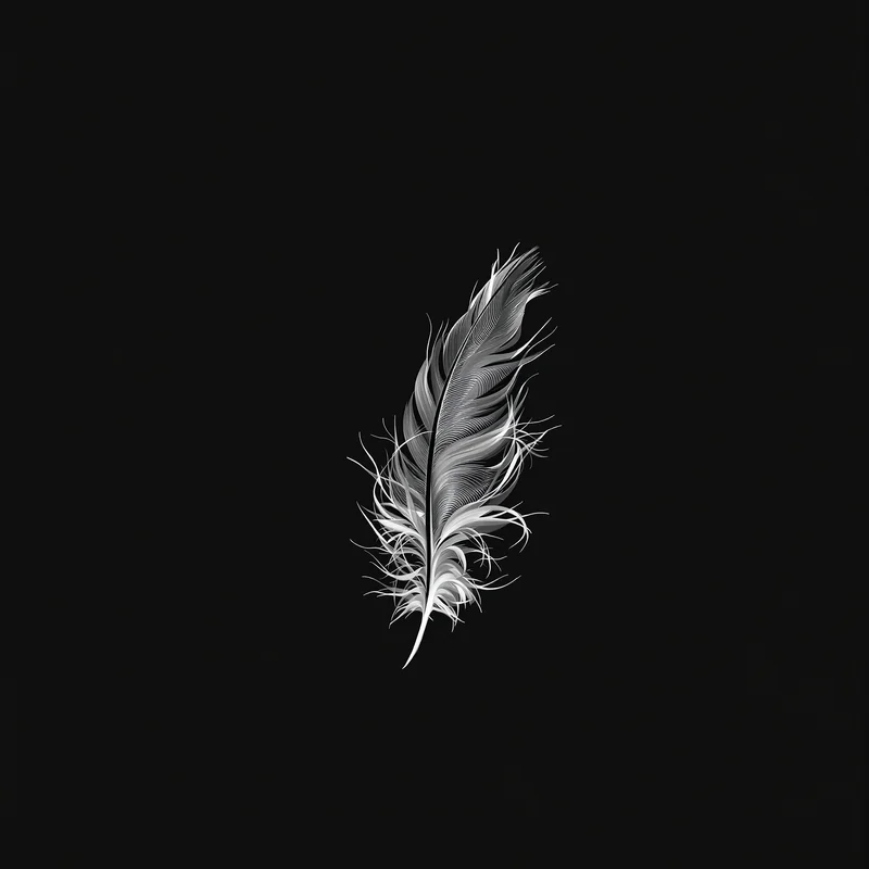 Floating Feather Black Background