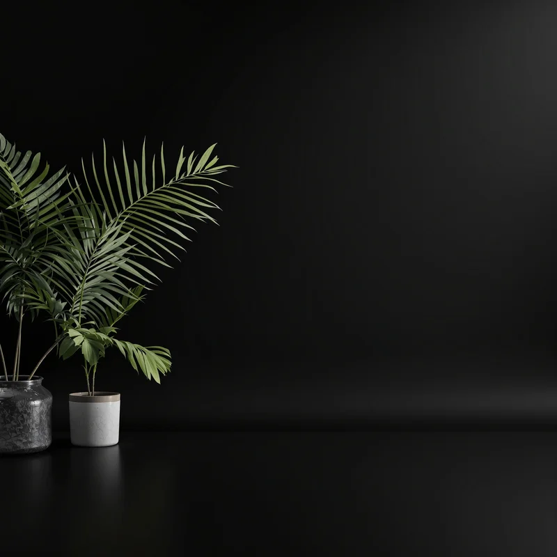 Right balanced black background