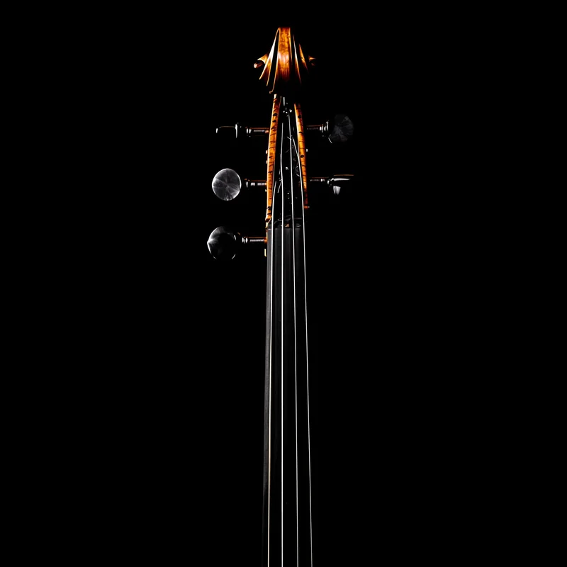 Violin Silhouette Black Background