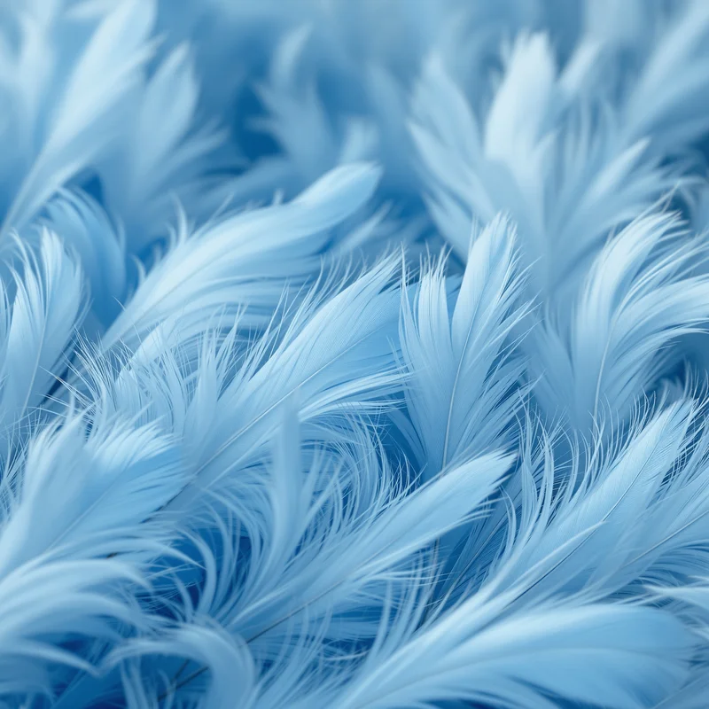 Blue Feather Texture Background