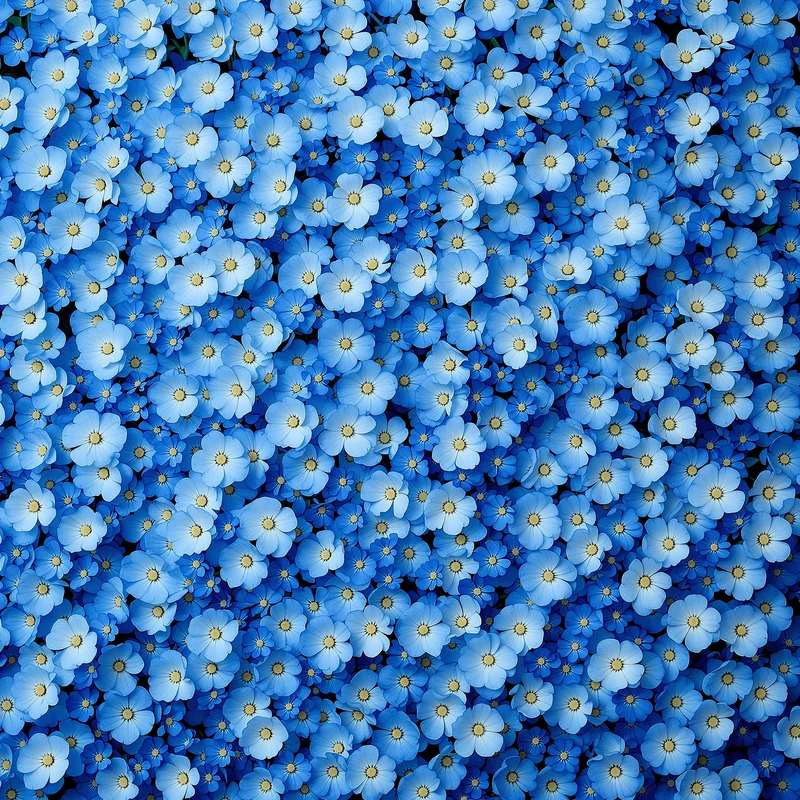 Blue Flower Wall Background