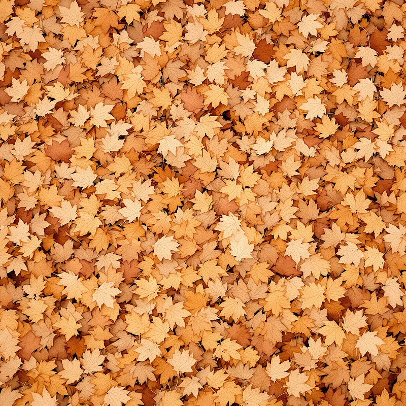 Tannin Leaf Litter Brown Background