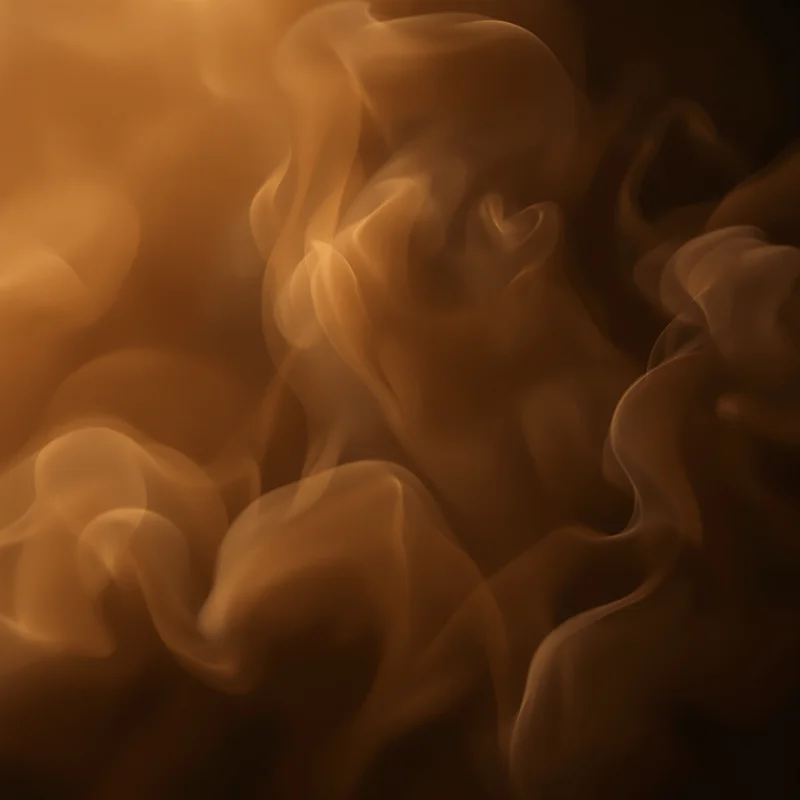 Woodsmoke Haze Brown Background