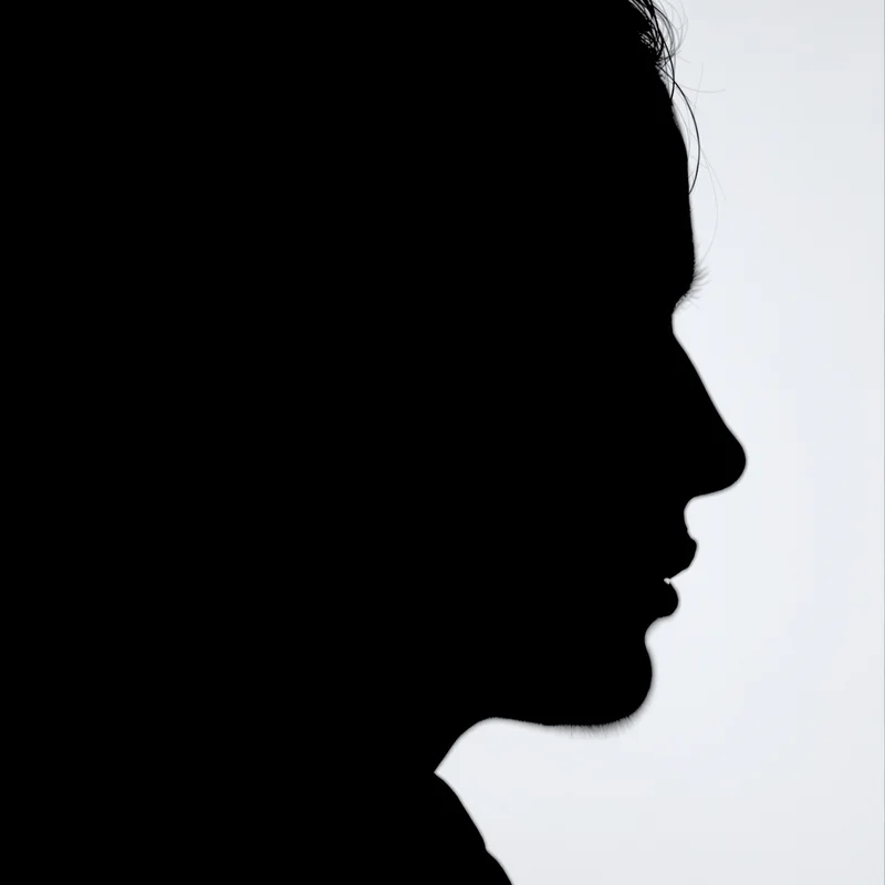 Cool PFP with shadow side profile and hard contrast