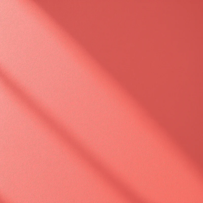 Sunlit Stucco Coral Background