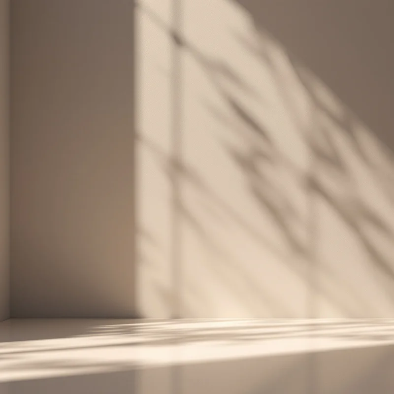 Gentle shadow dark background