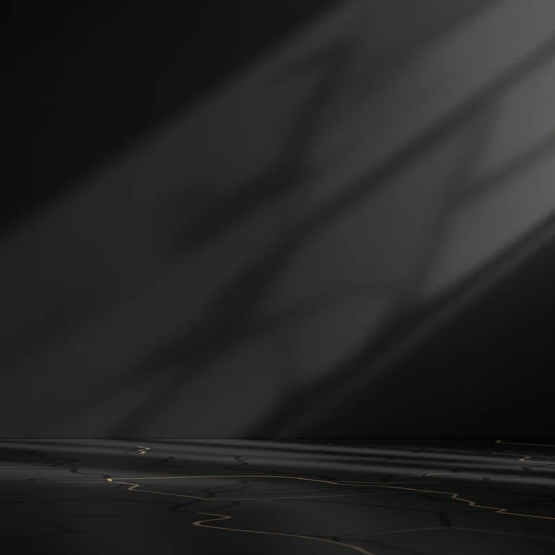 Luxury shadow dark background