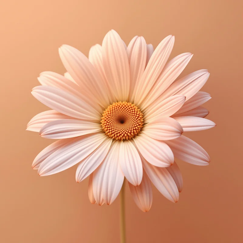 cherry blossom avatar with bloom effect for aesthetic profile display