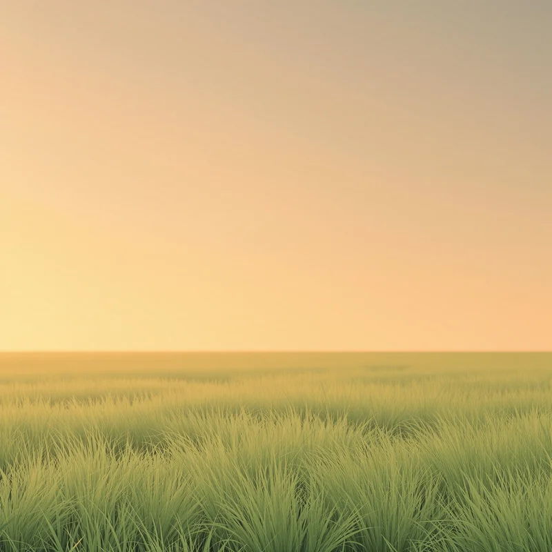 Calm green grass background