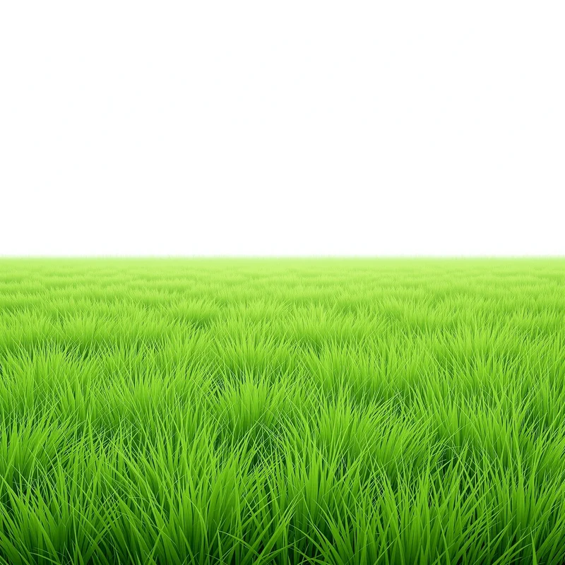 Calm green grass background