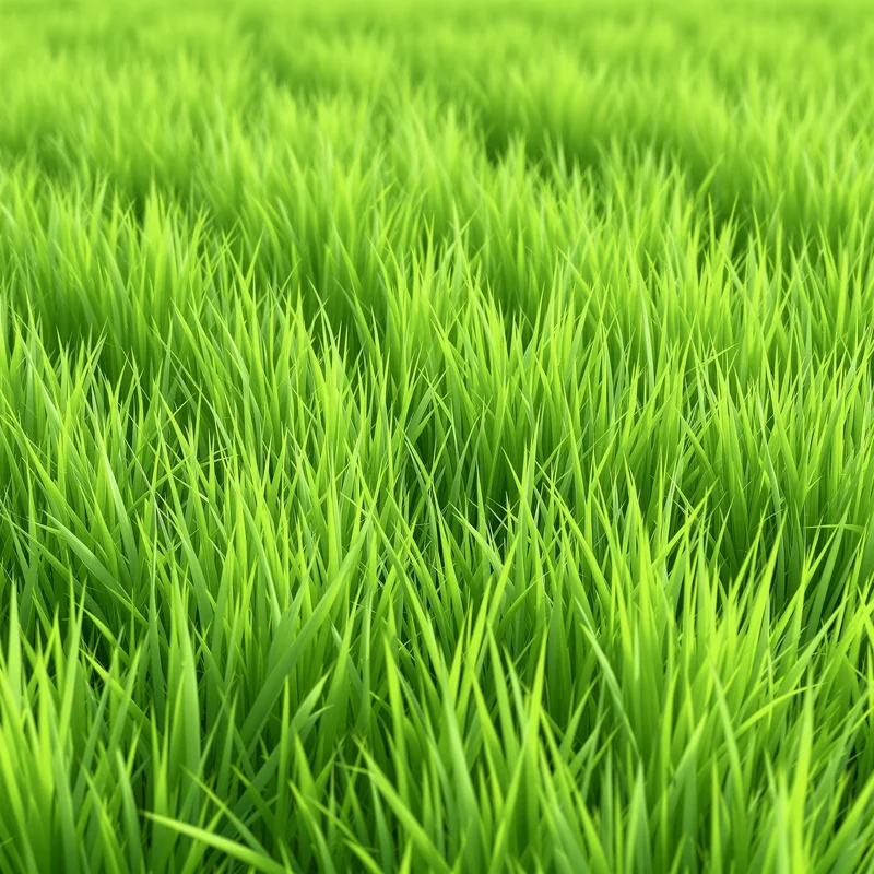 Calm green grass background