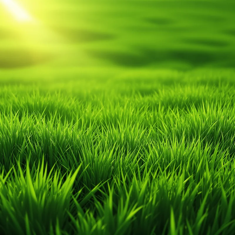 Deep green grass background