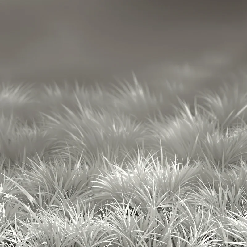 Eternal soft grass background