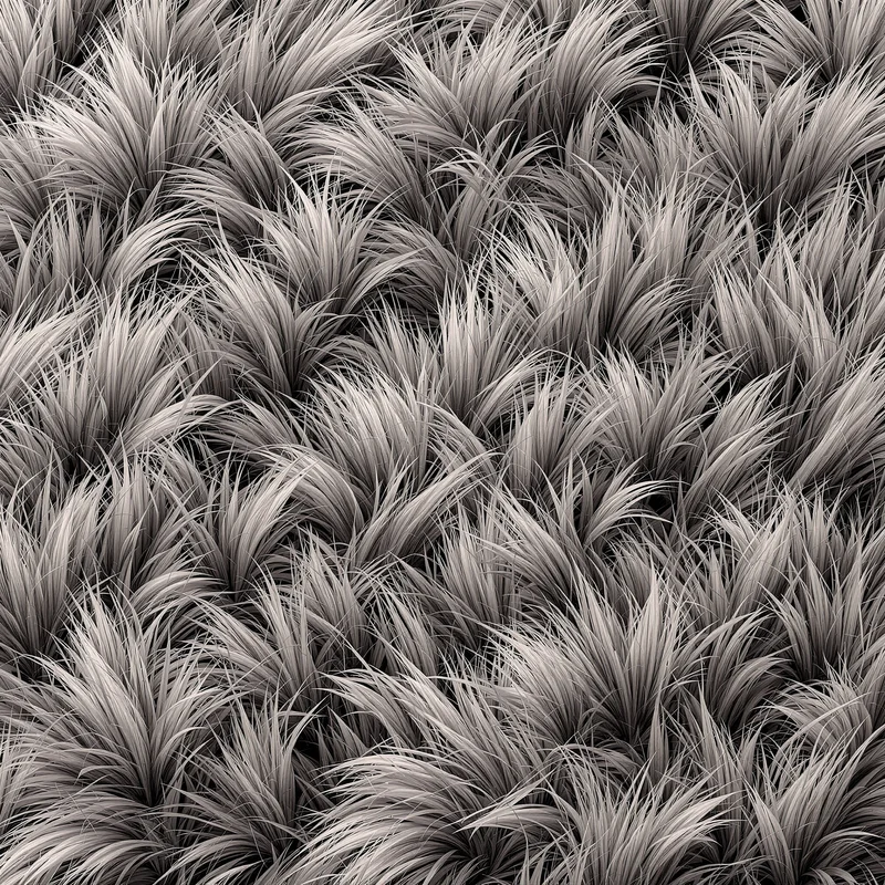Luxury velvet grass background