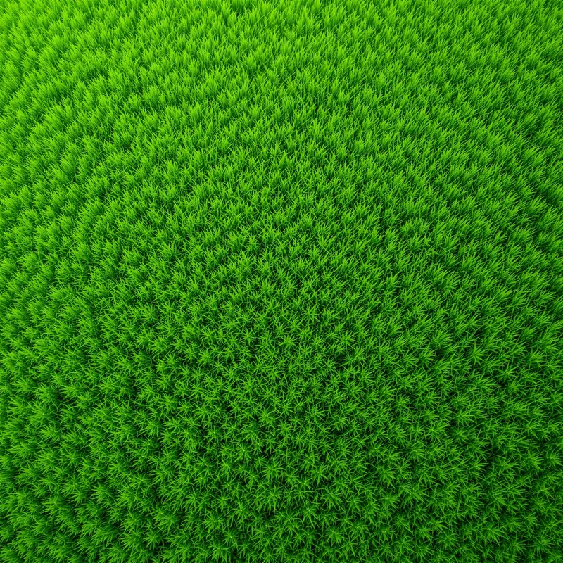 Pure fresh grass background