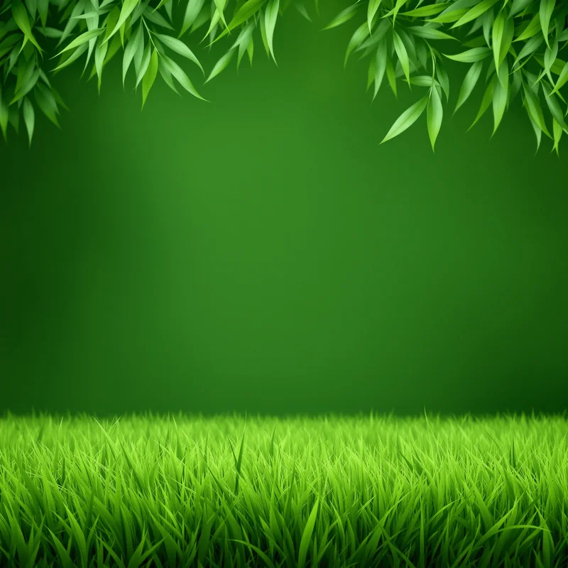 Signature soft green grass background