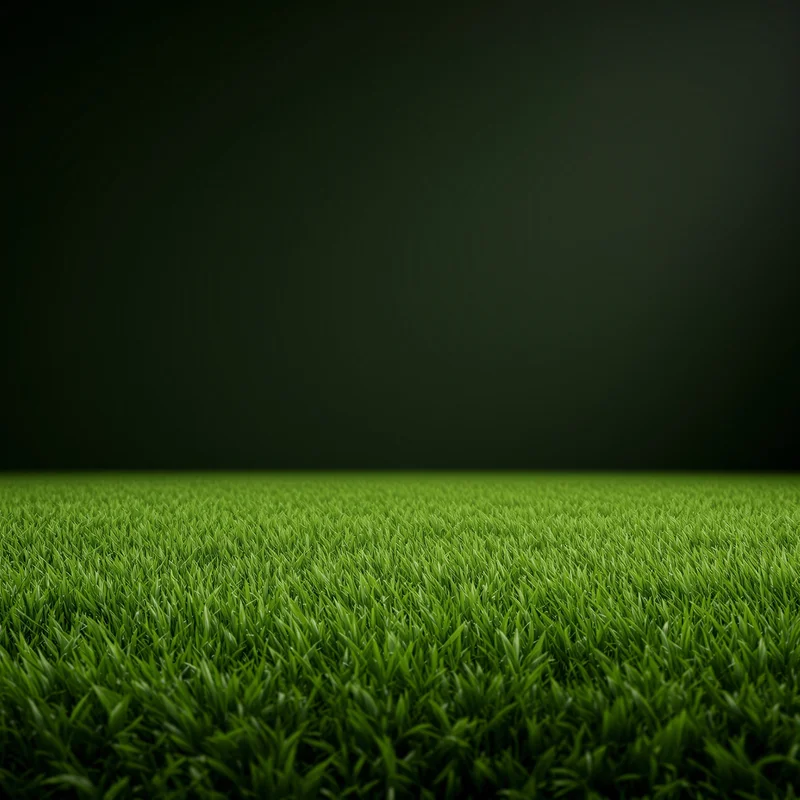 Studio minimal grass background
