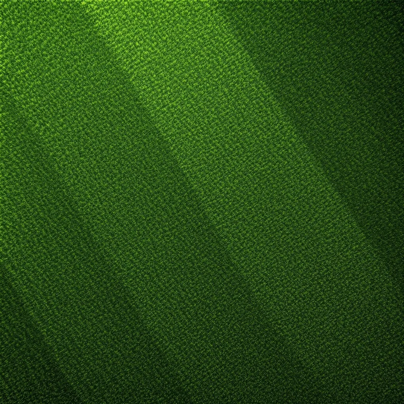 Studio minimal grass background