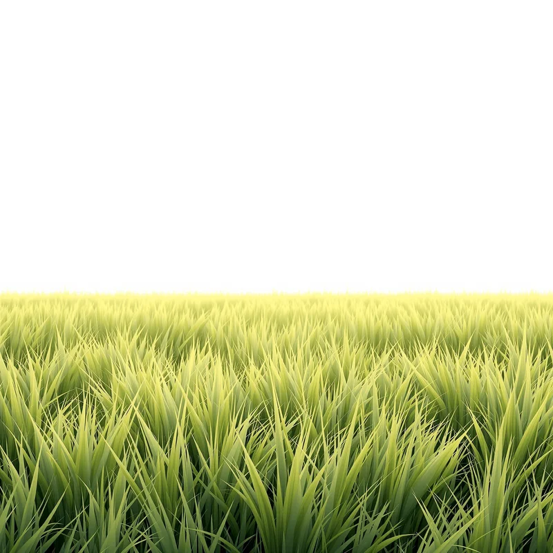 Warm green grass background