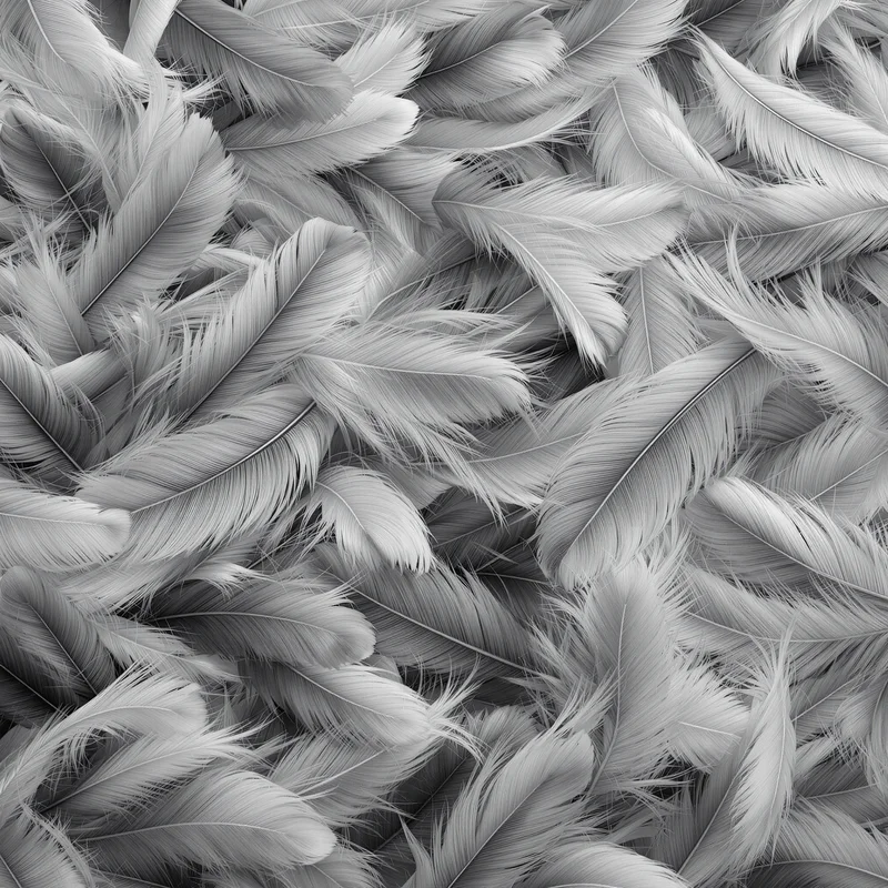 Pigeon Feather Layer Gray Background