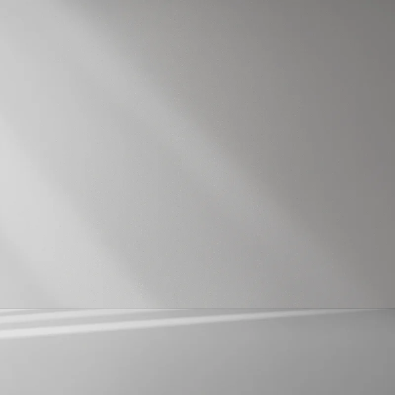 Premium gray background