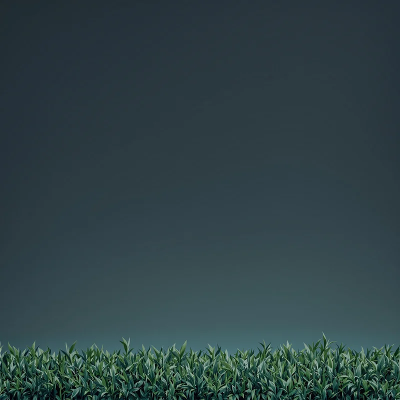 Balanced green background