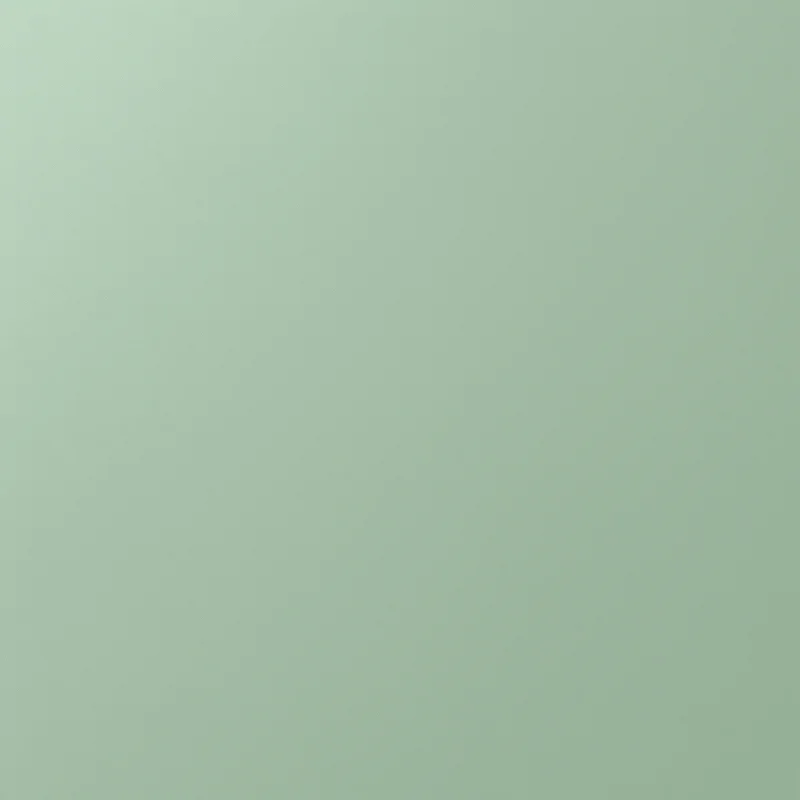 Calm matte green texture background