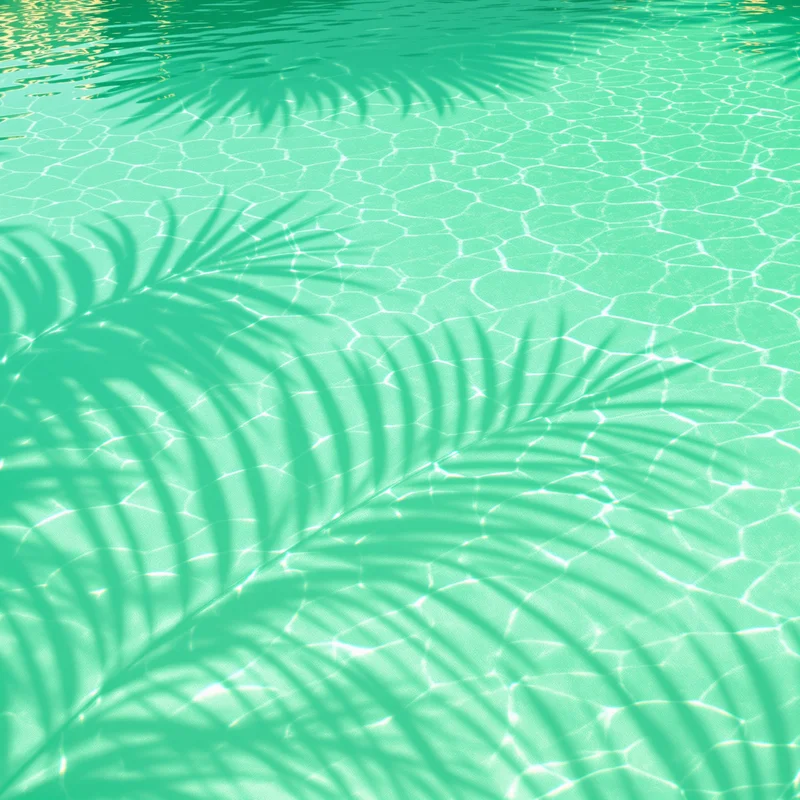 Frond Shadow Pool Green Yellow Background