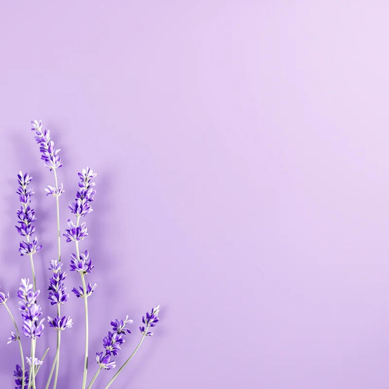 Fresh lavender invitation background