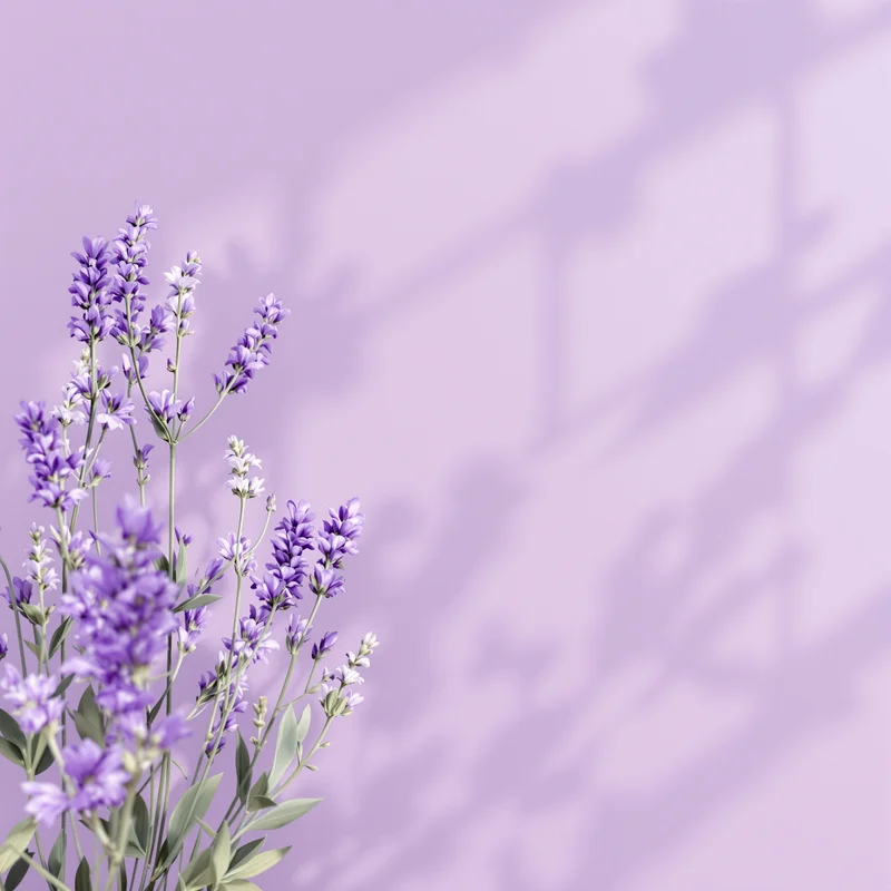 Studio calm lavender background