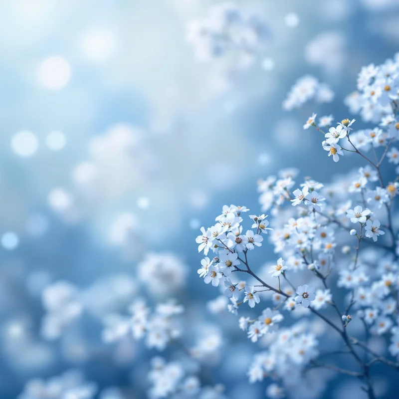 Baby Breath Haze Light Blue Background
