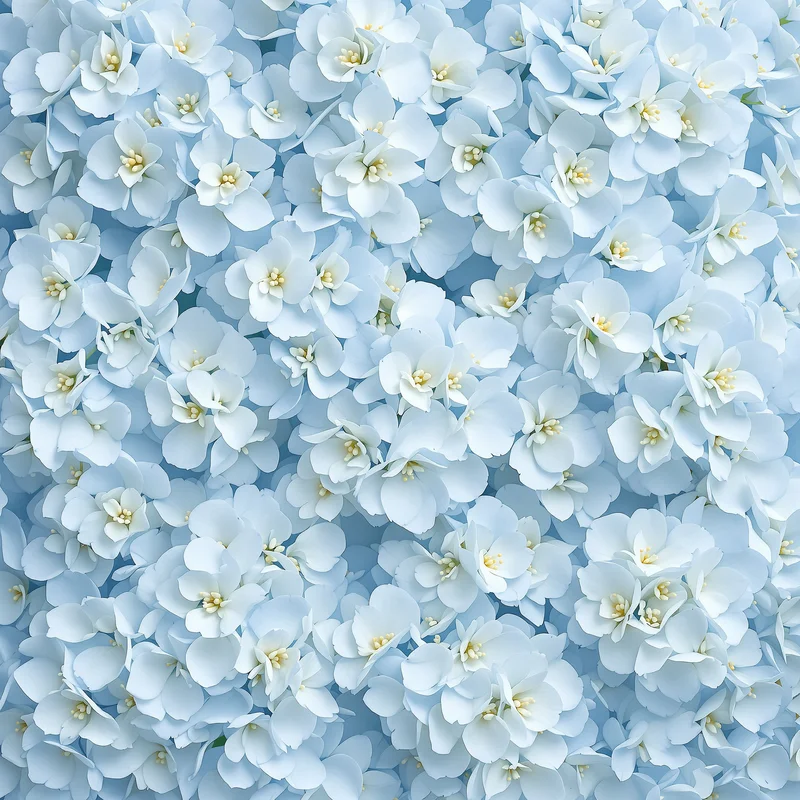 Iced Hydrangea Bloom Light Blue Background