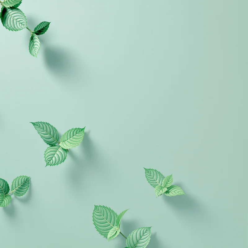 Balanced uniformity mint background