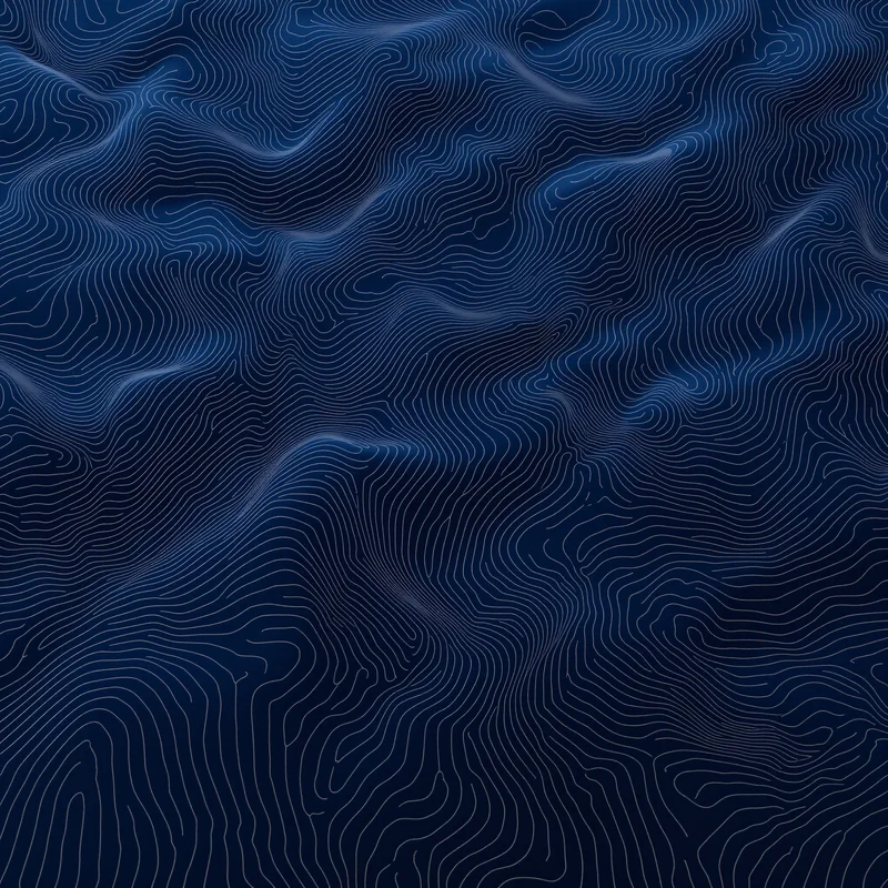 Hydrographic Contour Navy Background