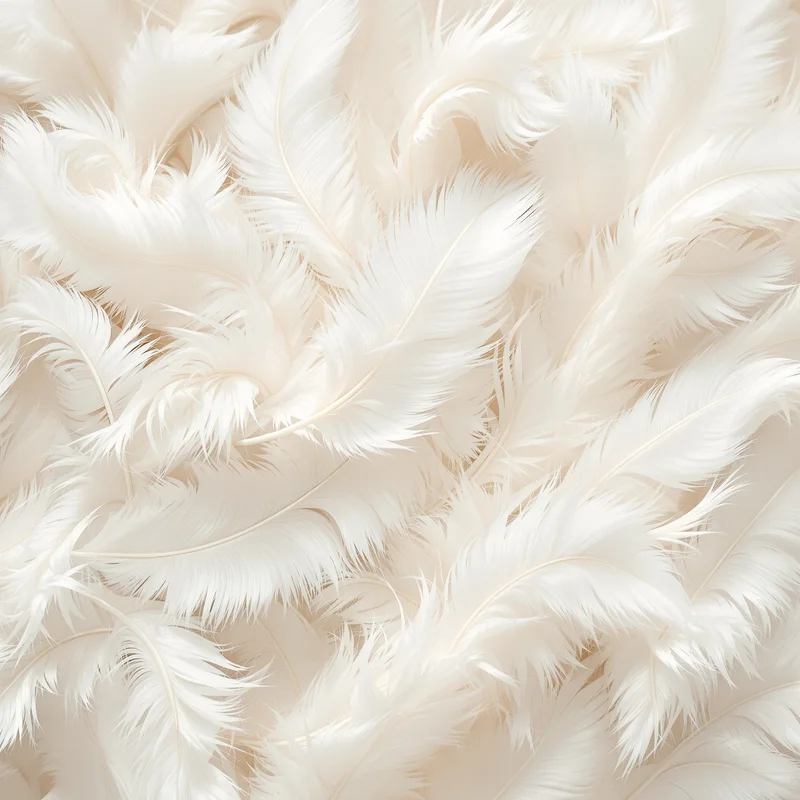 Plumule Drift Off White Background