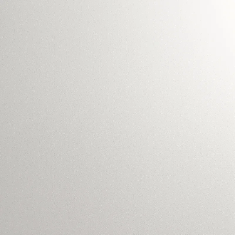 Premium matte off white background