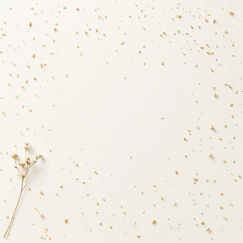 Pressed Flower Paper Off White Background