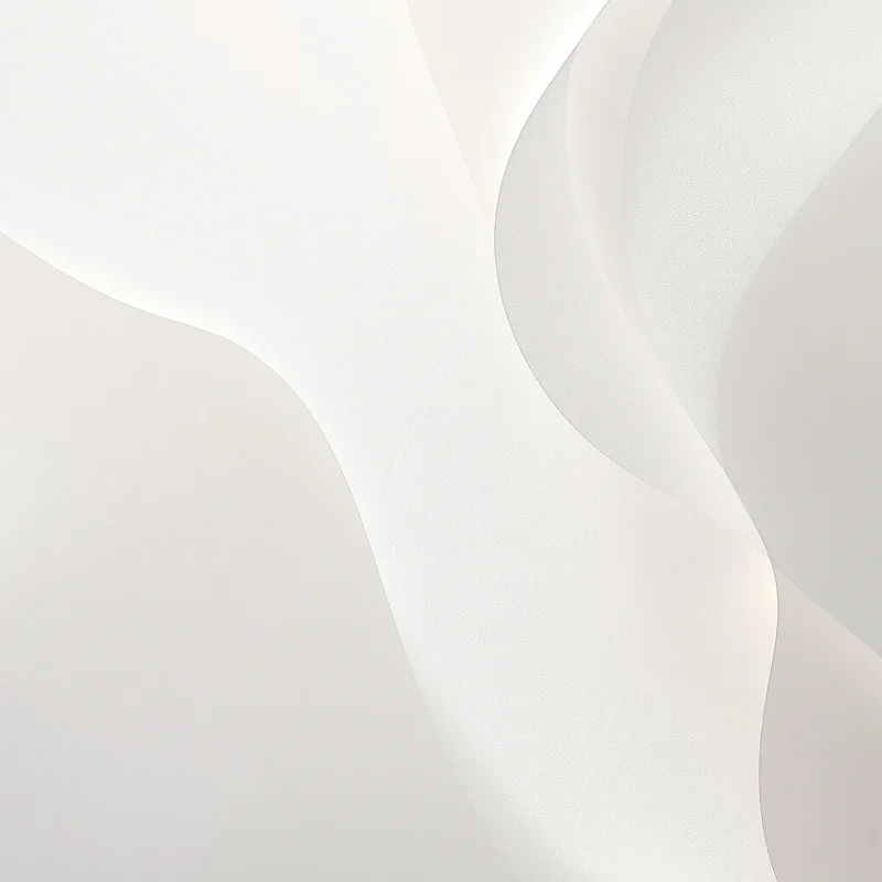 Rice Paper Veil Off White Background