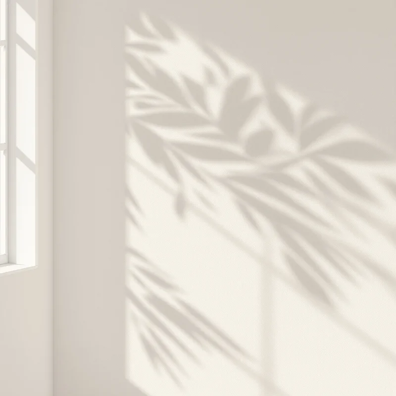Wicker Shadow Off White Background