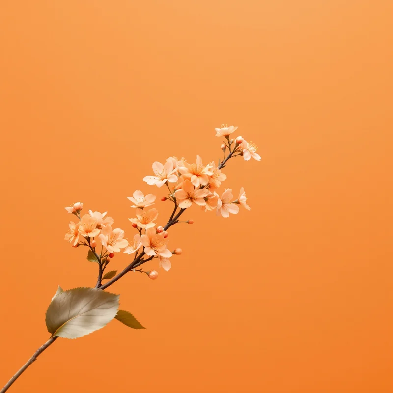 Orange Blossom Branch Background