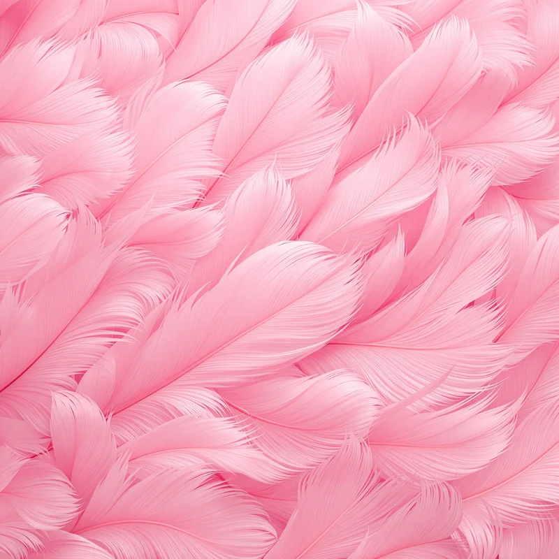 Flamingo Feather Pink Background