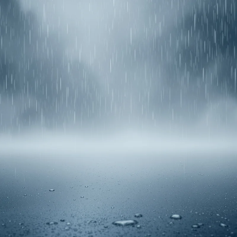Calm misty rain background