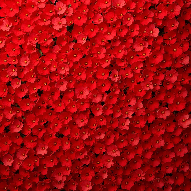 Red Flower Wall Background
