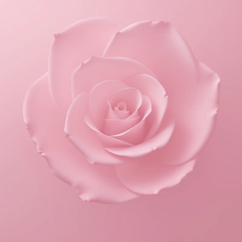 Calm pink rose background
