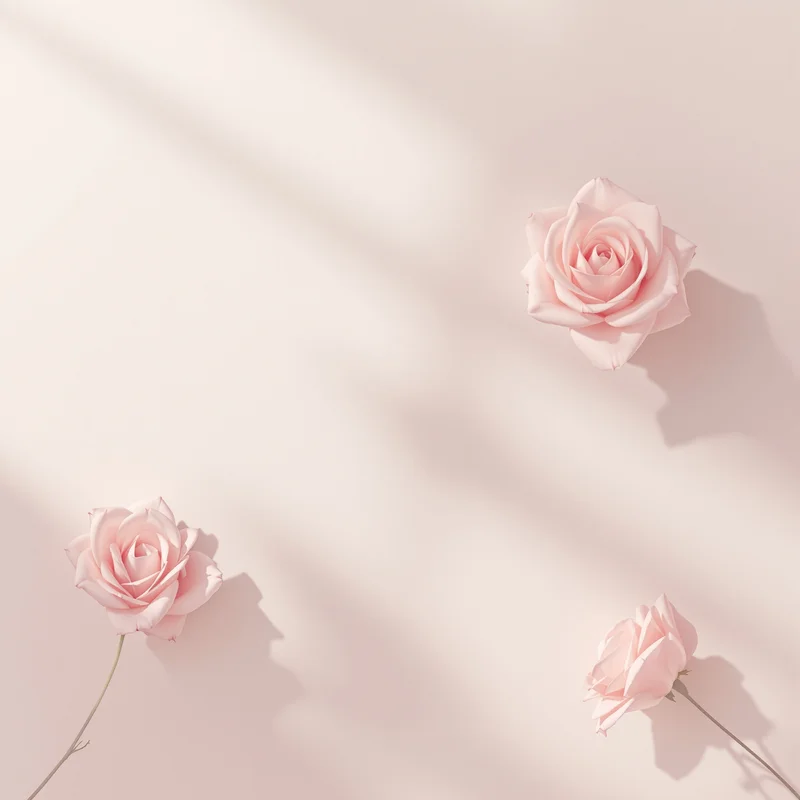 Clean minimal rose background