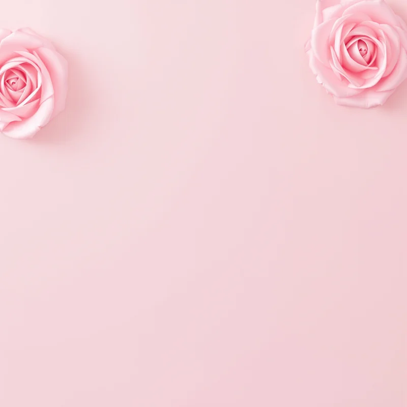Fresh blush rose background