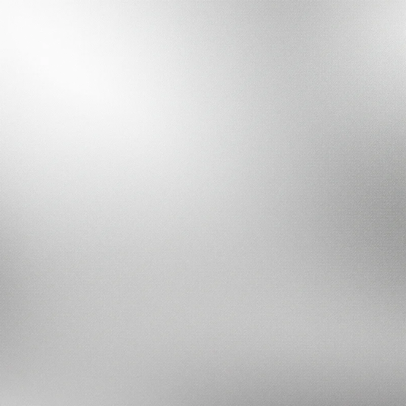 Luxe matte silver background